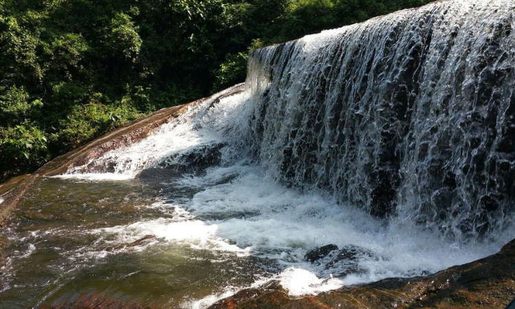 Top Tips for Discovering Hidden Rivers Nearby in 2024